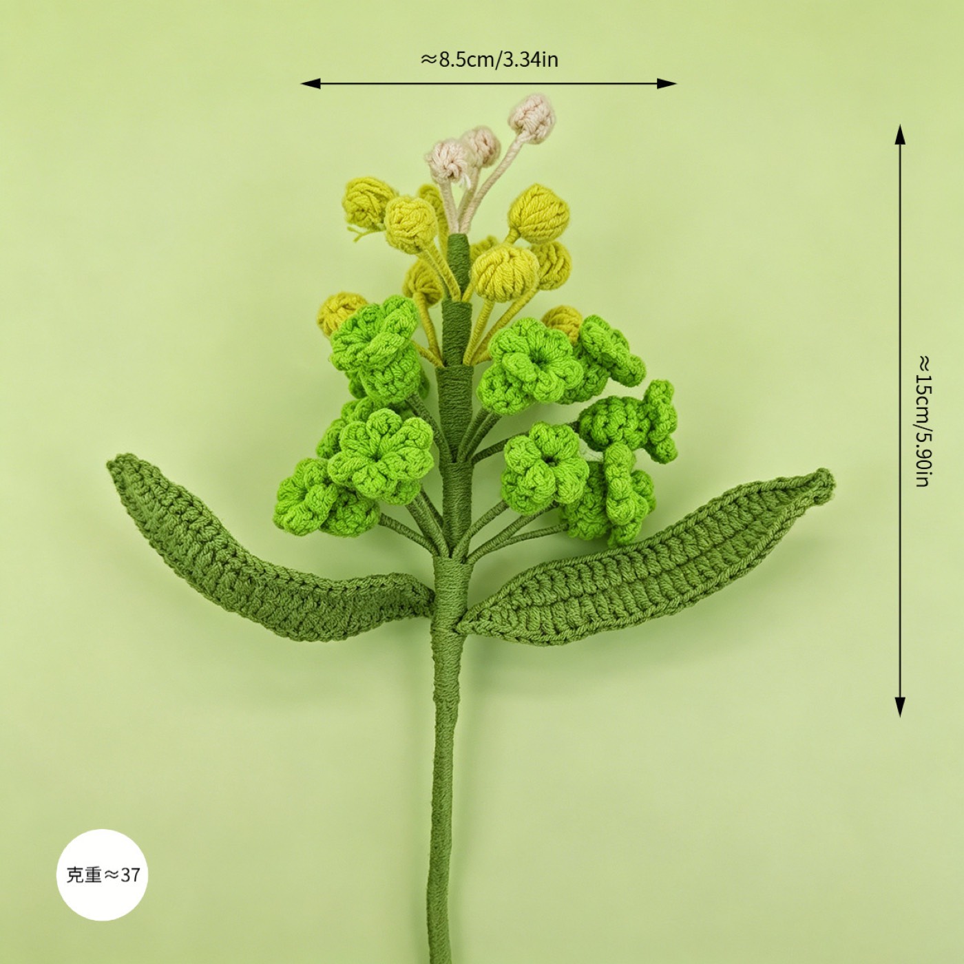 Classic Hyacinth Crochet Stem view 4